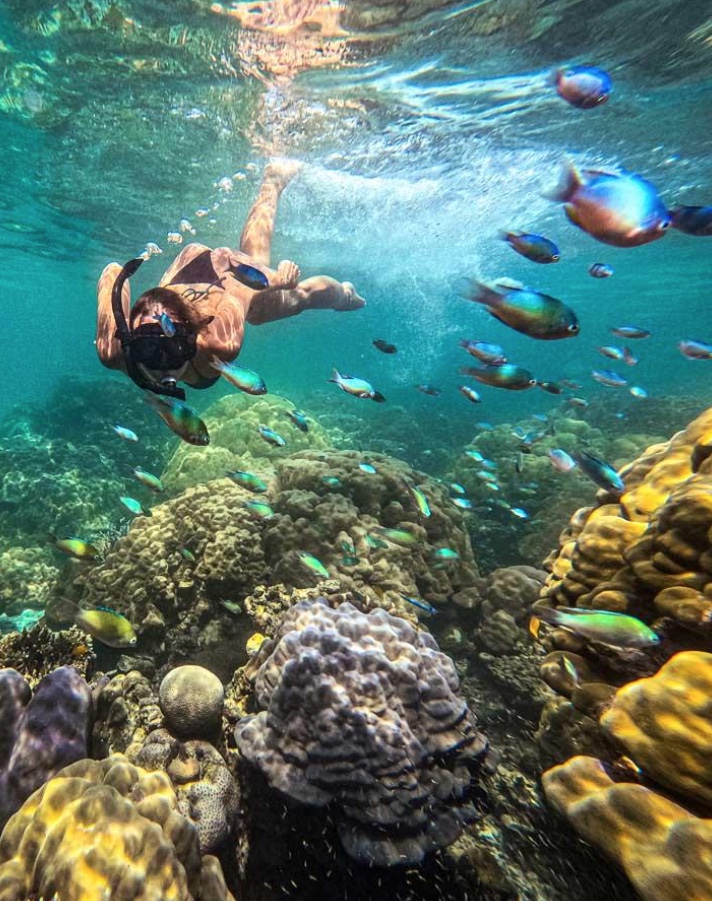 Similan Islands snorkeling